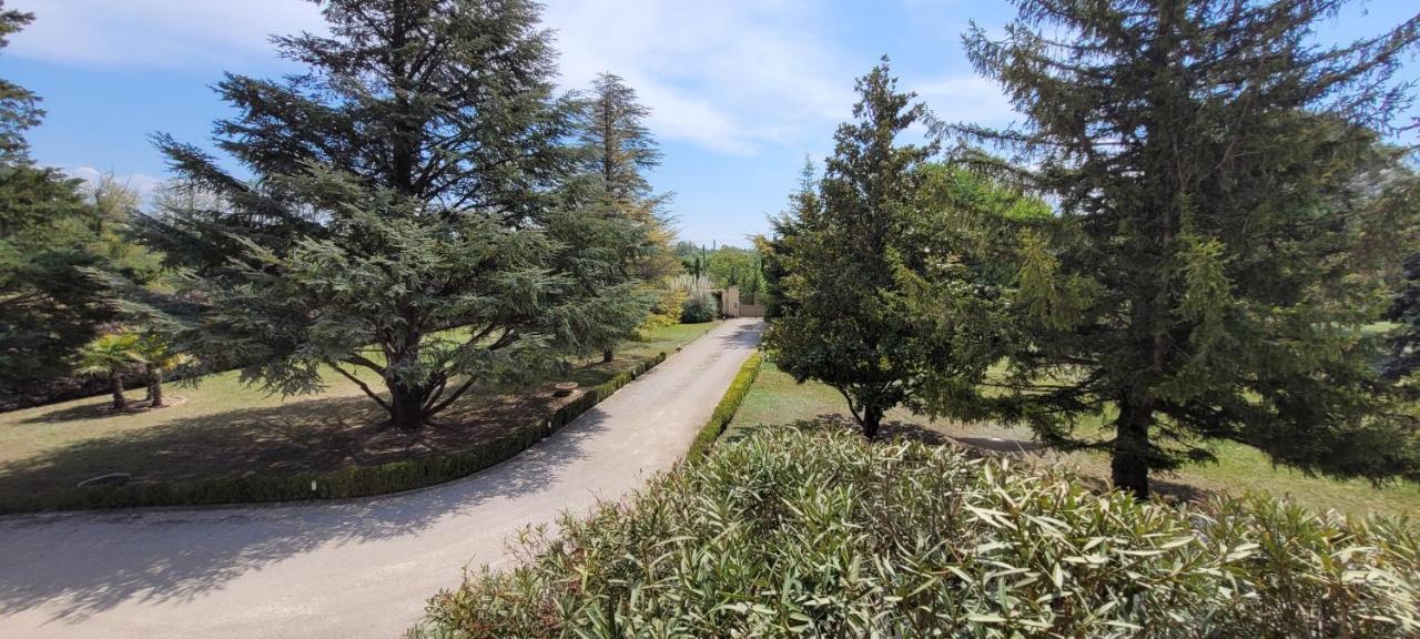 Villa Liberty Entraigues-sur-la-Sorgue Kültér fotó